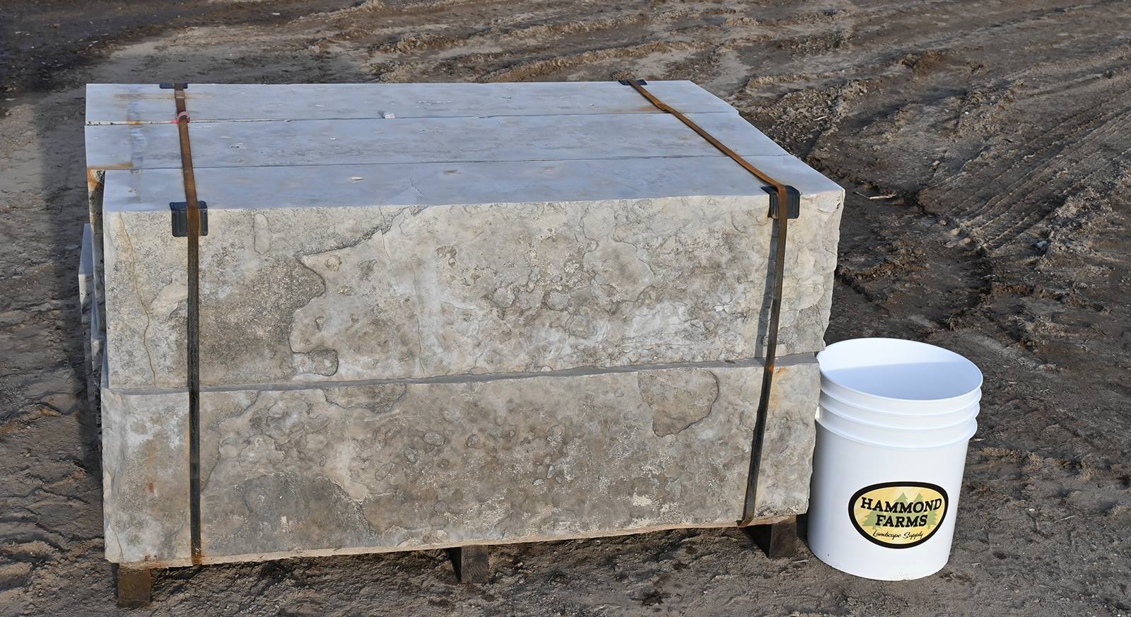 Owen Sound Strata 12