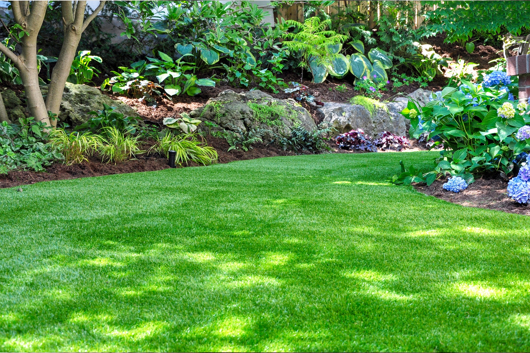 lawn garden